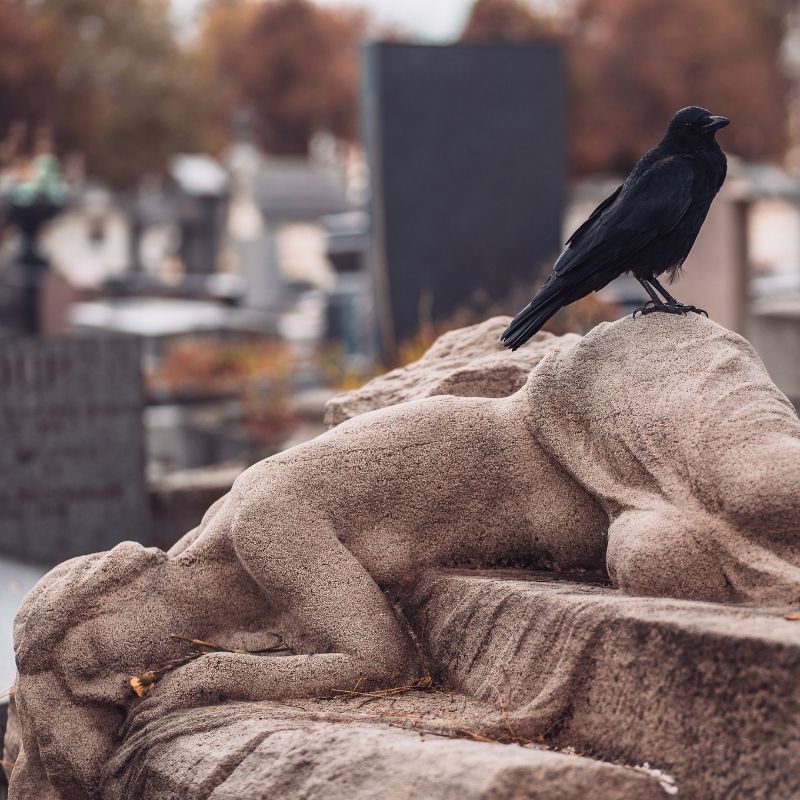 ペール・ラシェーズ墓地のスキャンダルと恋愛物語 - ウォーキングツアー